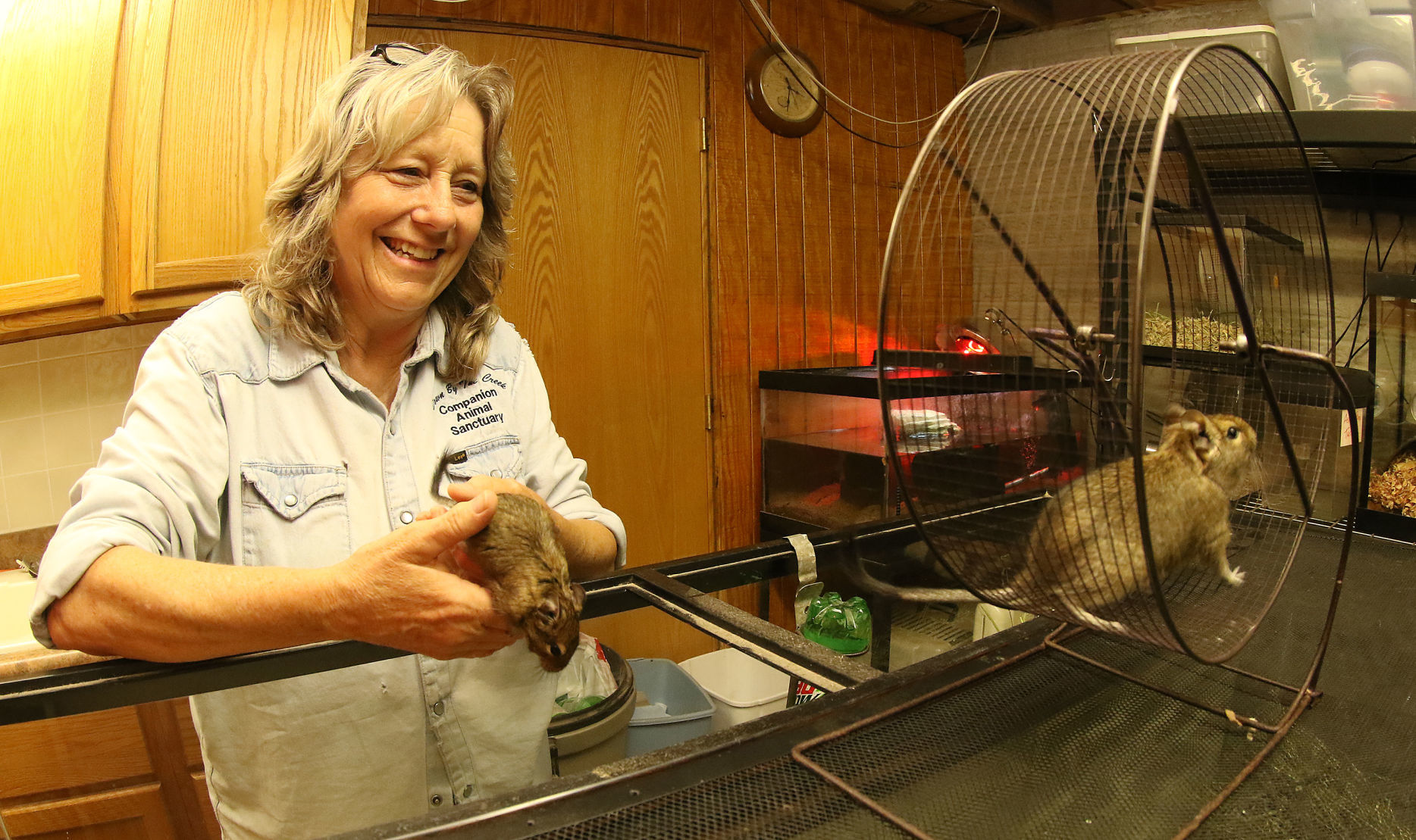 060518-qct-animal-sanctuary-001